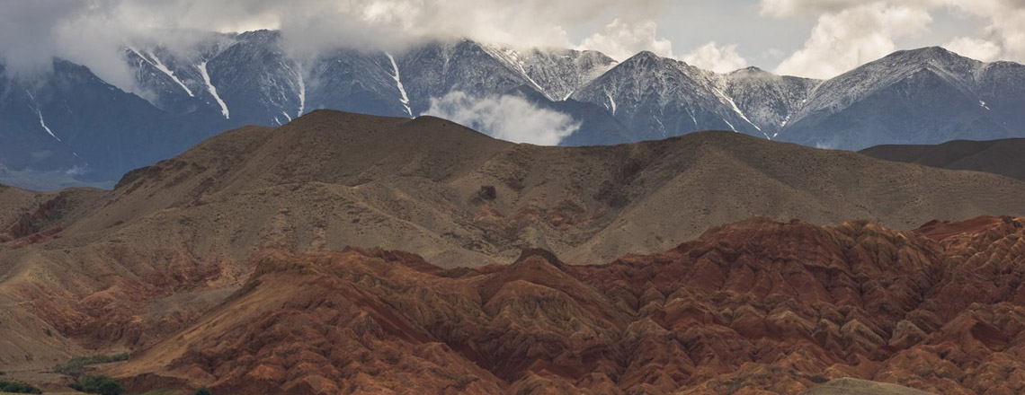 Бурхан буудай